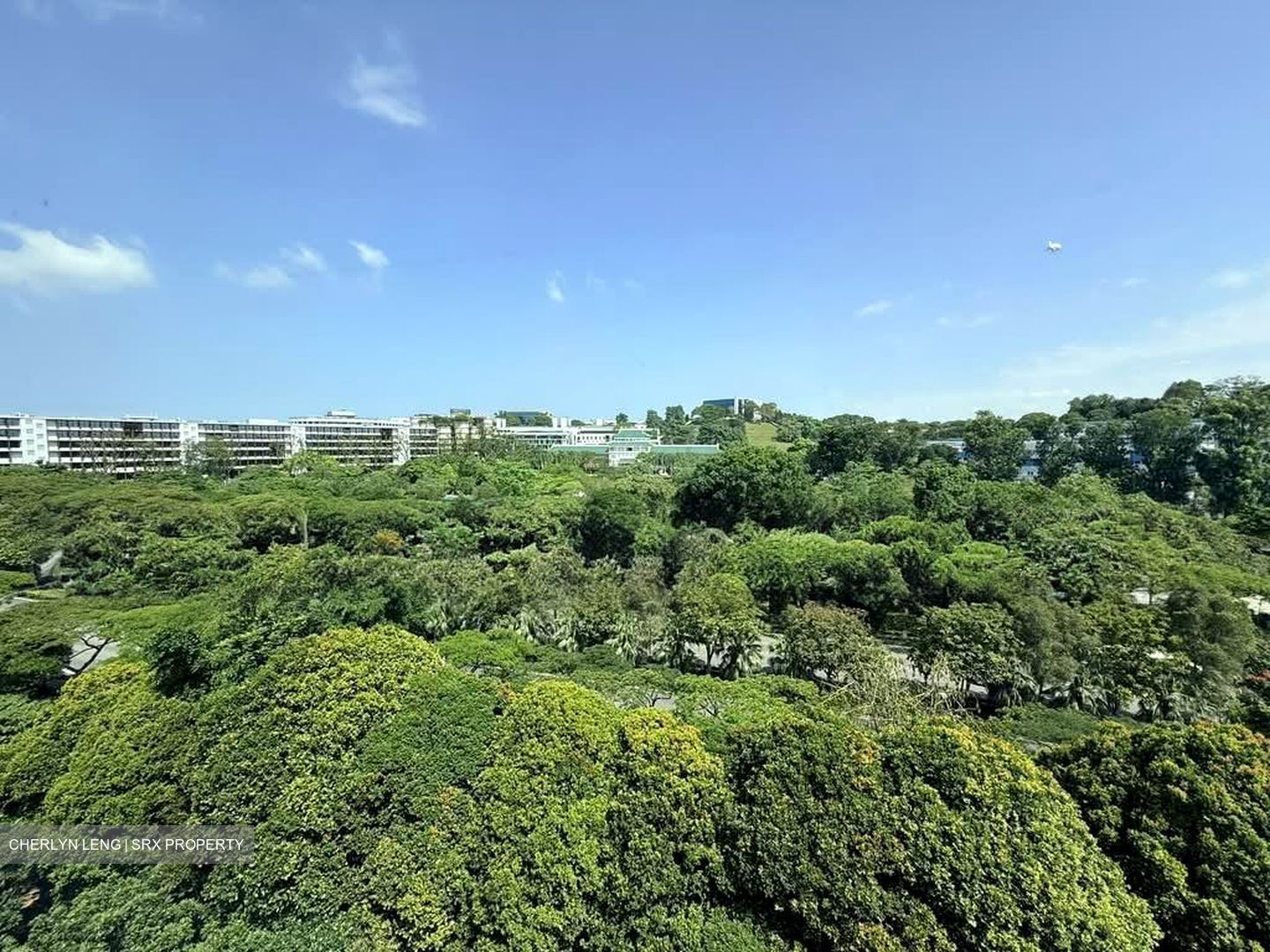 Blk 910 Jurong West Street 91 (Jurong West), HDB Executive #544094601